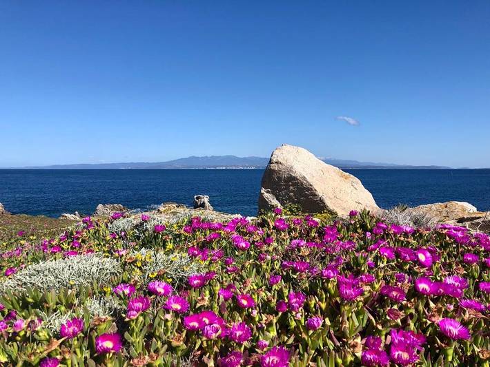 Appartamento per 5 persone, con balcone/terrazza a Santa Teresa di Gallura