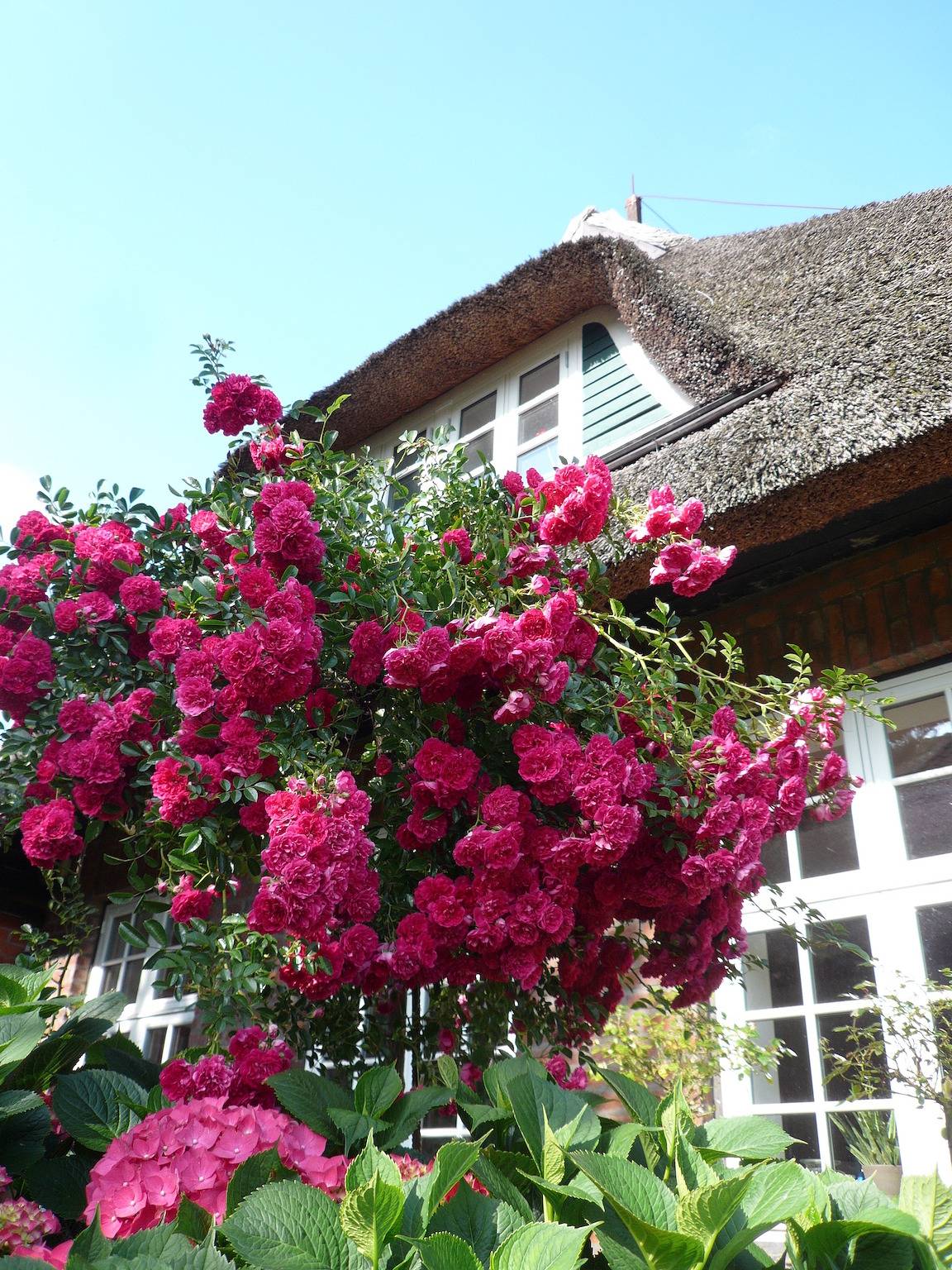 Apartamento vacacional entero, Landhaus-Marwede App.6 in Scharbeutz, Distrito de Holstein Oriental