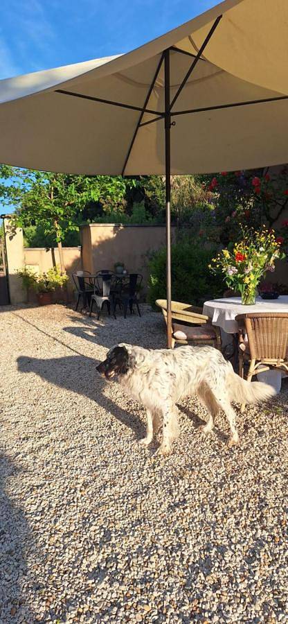 Location de vacances pour 6 personnes, avec piscine ainsi que vue et jardin dans Les Paluds de Noves - 2