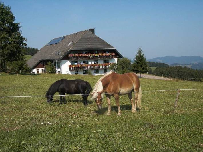 Holiday apartment for 4 people, child-friendly - 1