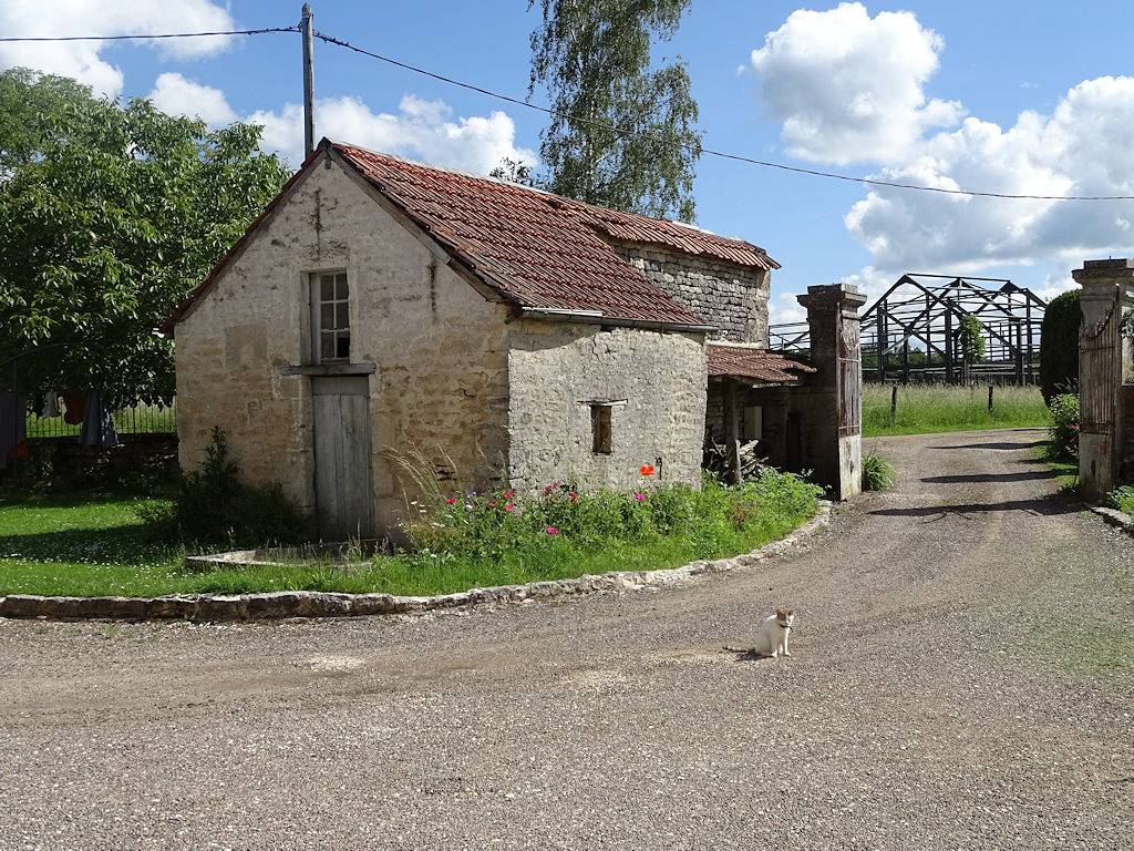 Les Gîtes de la Maison Paulin in Arc-en-Barrois, Parc national de forêts