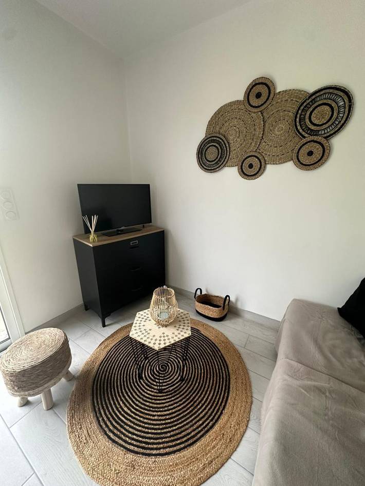 Gîte pour 4 personnes, avec terrasse à Vienne (France) - 2