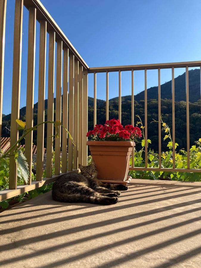 Three-Bedroom House in Fluminimaggiore, Costa Verde (Sardaigne)