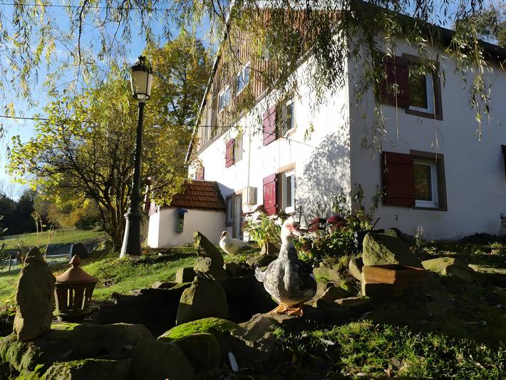 Chambre d’hôte pour 3 personnes, avec jardin à Ban-sur-Meurthe-Clefcy