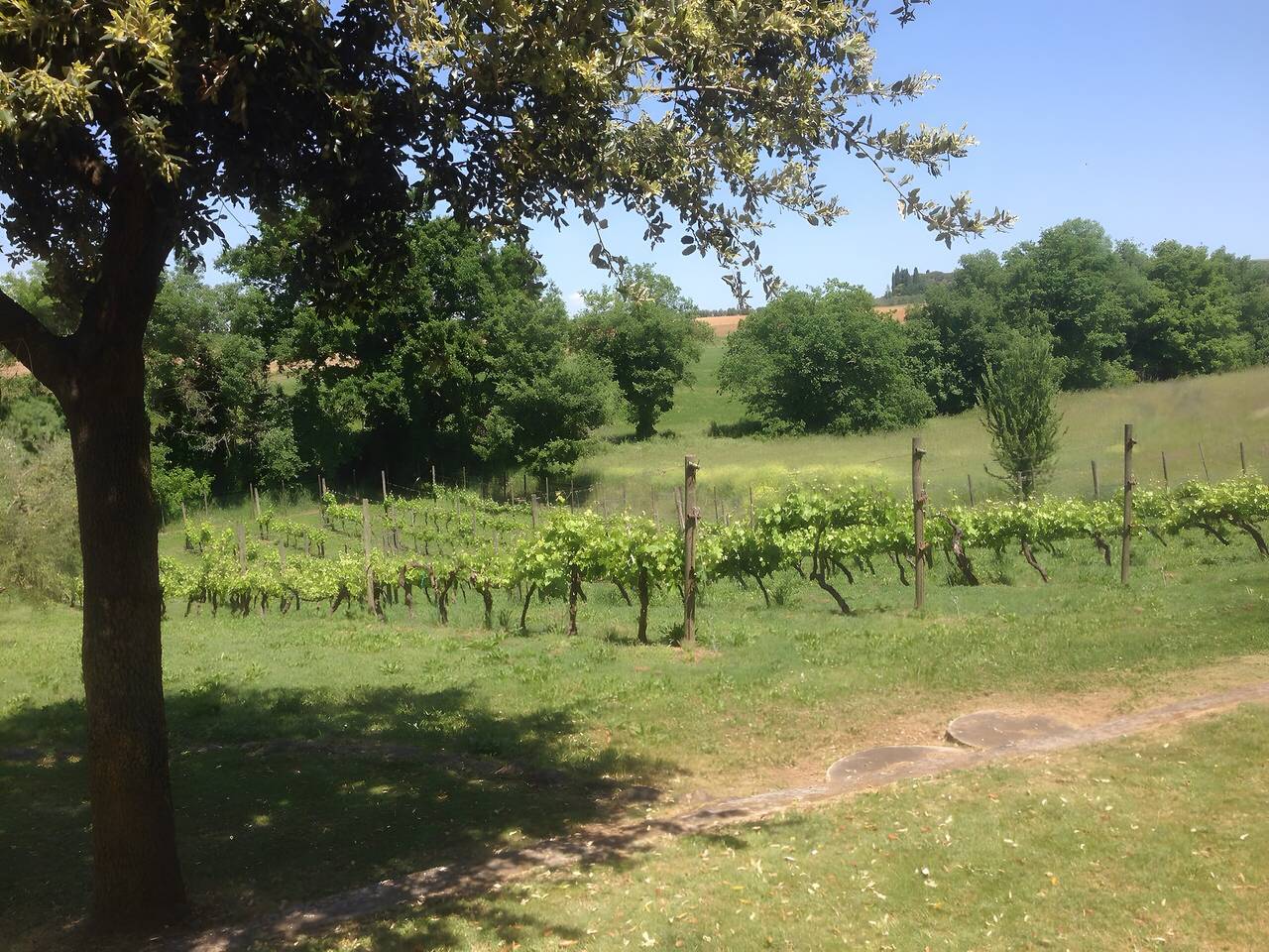 Appartamento intero, Appartamento 'Melograno' con piscina condivisa, Wi-Fi e aria condizionata in Campagnatico, Provincia di Grosseto