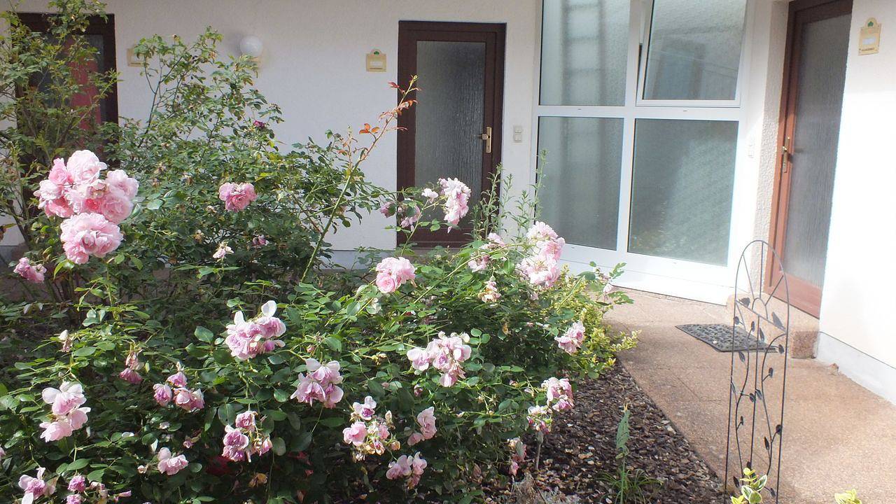 Ganze Ferienwohnung, Ferienwohnung für 4 Personen (55 m²) in Stromberg in Stromberg, Nahetal