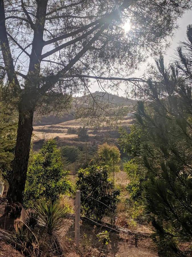 Triple Room with Shared Bathroom in Silves, District de Faro