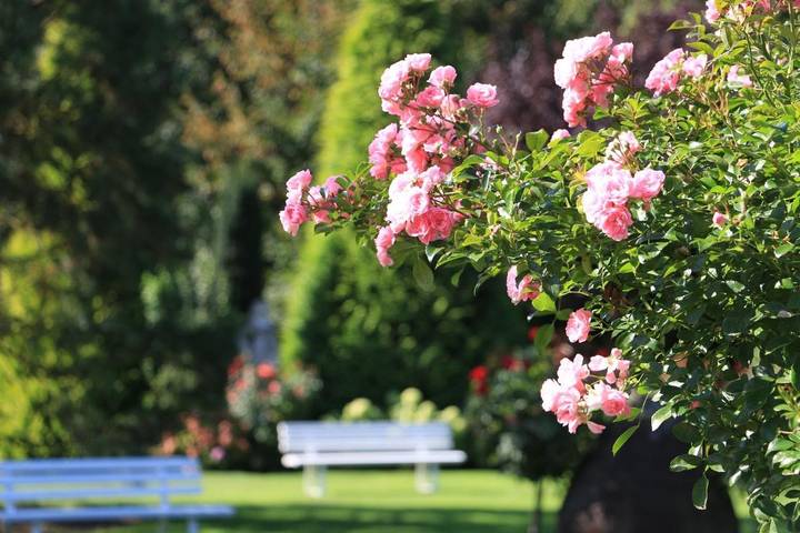Location de vacances pour 3 personnes, avec vue et jardin à Durbach - 4