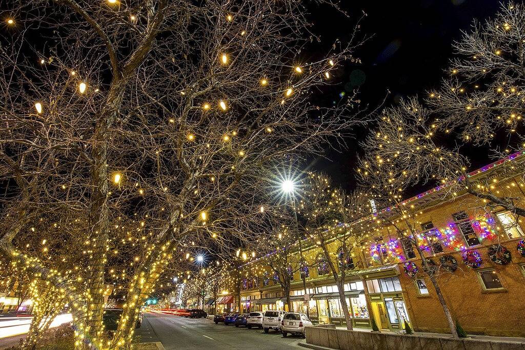 Die H��tte! Chic Bungalow in der Nähe des Altstädter Ringes! in Fort Collins, Larimer County