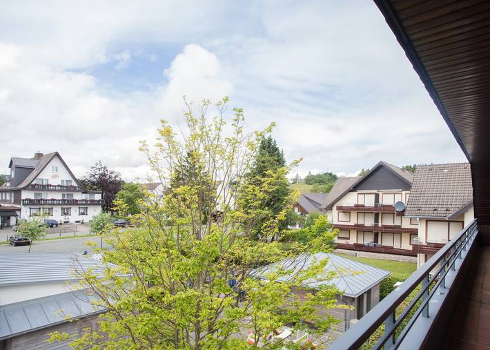 Vakantieappartement voor 4 personen, met balkon en balkon/terras in Winterberg