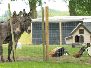 Cottage for 10 People in Belle-et-Houllefort, Boulogne-sur-Mer region, Photo 4