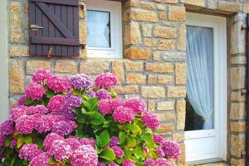 Gîte pour 4 personnes, avec terrasse dans Pénerf