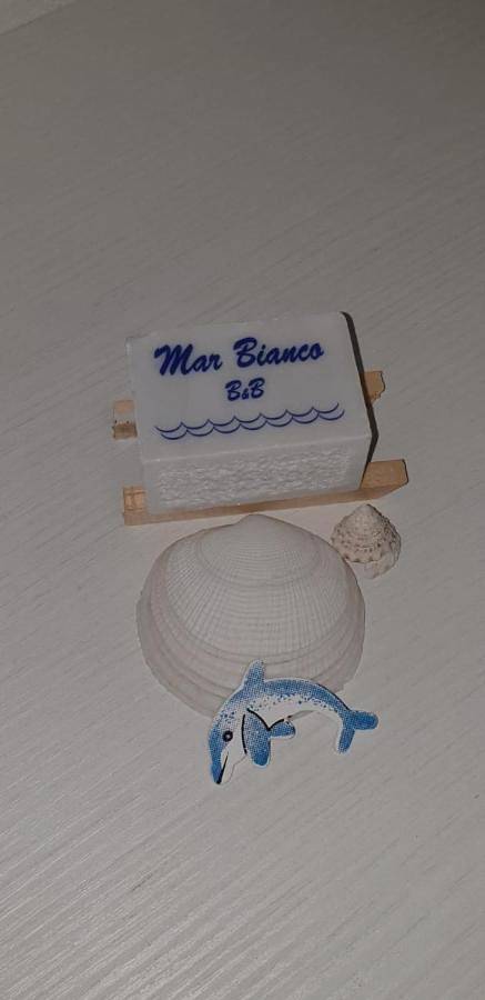 Location de vacances pour 3 personnes, avec terrasse, animaux acceptés à Carrare - 4