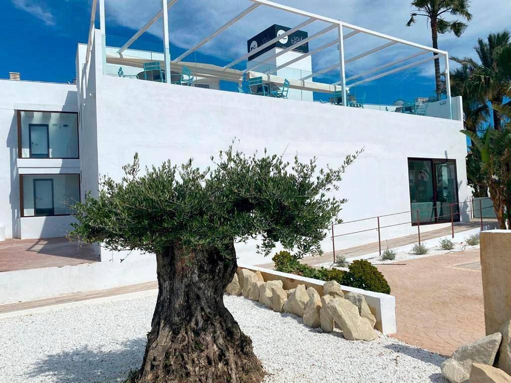Soul Beach Hotel By Mc - Adults Recommended in Almadrava, Costa Blanca