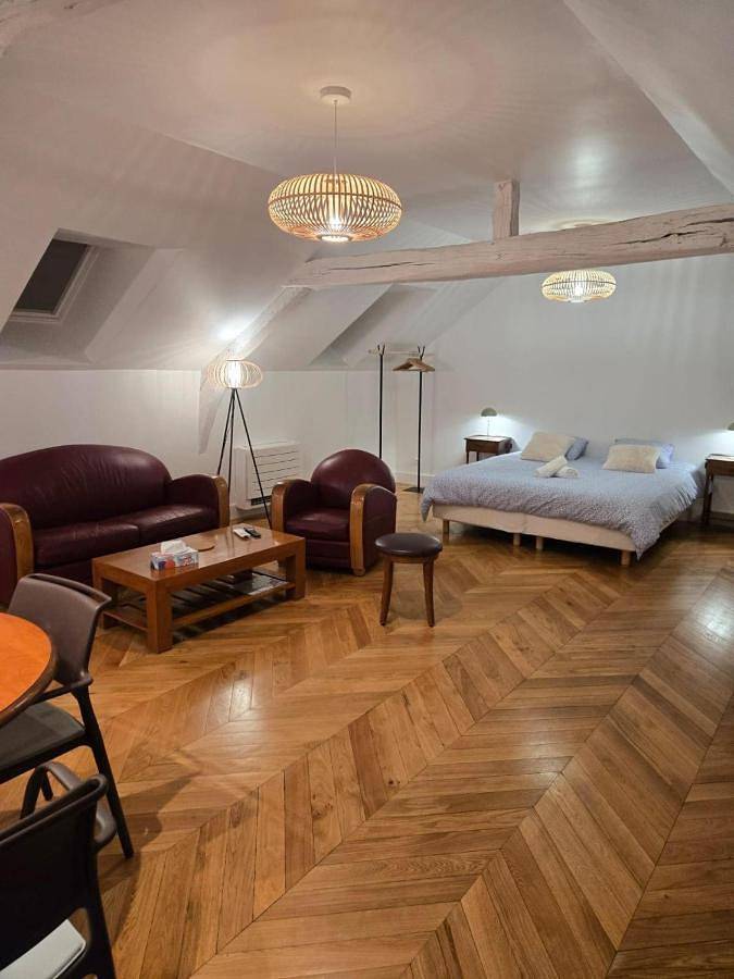 Gîte pour 3 personnes, animaux acceptés à Thomery - 2