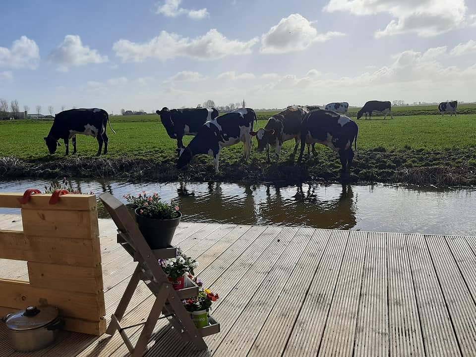 Cabin Sleeps 4 with Hot Tub and Garden in Franekeradeel, Nederlandse Noordzeekust