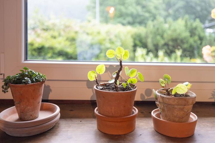 Chalet für 6 Personen, mit Garten, kinderfreundlich in Haute-Savoie - 3