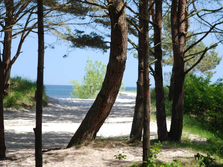Ferienwohnung für 2 Personen in Trassenheide - 2