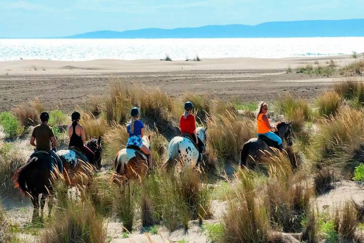 Mobil home pour 4 personnes, avec piscine et terrasse, animaux acceptés dans Plage de l'Espiguette - 4