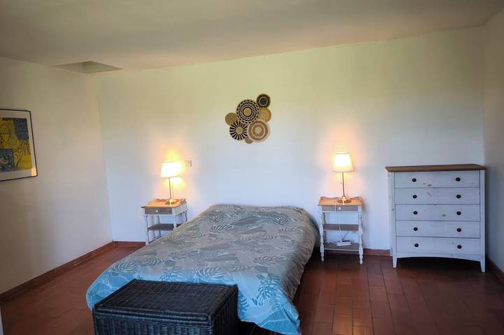 Villa provençale, piscine lagon, pétanque, jardin/ Luberon et Alpilles 14 pers in Mallemort, Région d'Arles