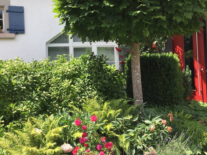 Ganze Wohnung, Landhaus Grafenholz - Landhaus Tiny-Appartement, 15 qm, 1 Schlafzimmer, max. 1 Person in Überlingen, Region Bodensee-Oberschwaben