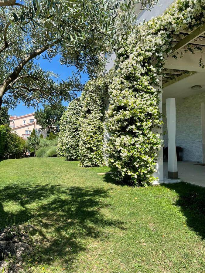 Hôtel pour 2 personnes, avec jardin et vue dans Međugorje - 4