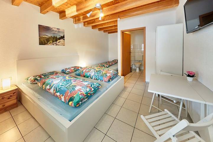 Ganze Wohnung, Schönes Zimmer mit Bad - nur 10 Gehminuten vom Europa-Park in Europa-Park, Rust