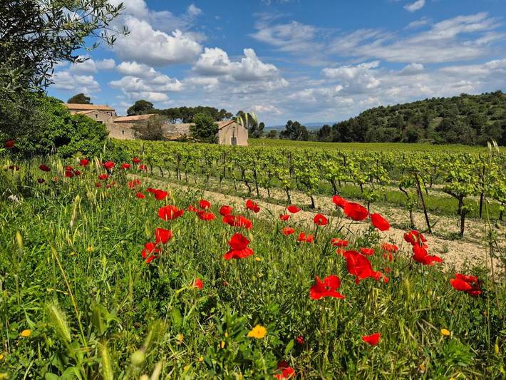 Gîte pour 6 personnes, avec Terrasse ainsi que Jardin et Vue à Aumes