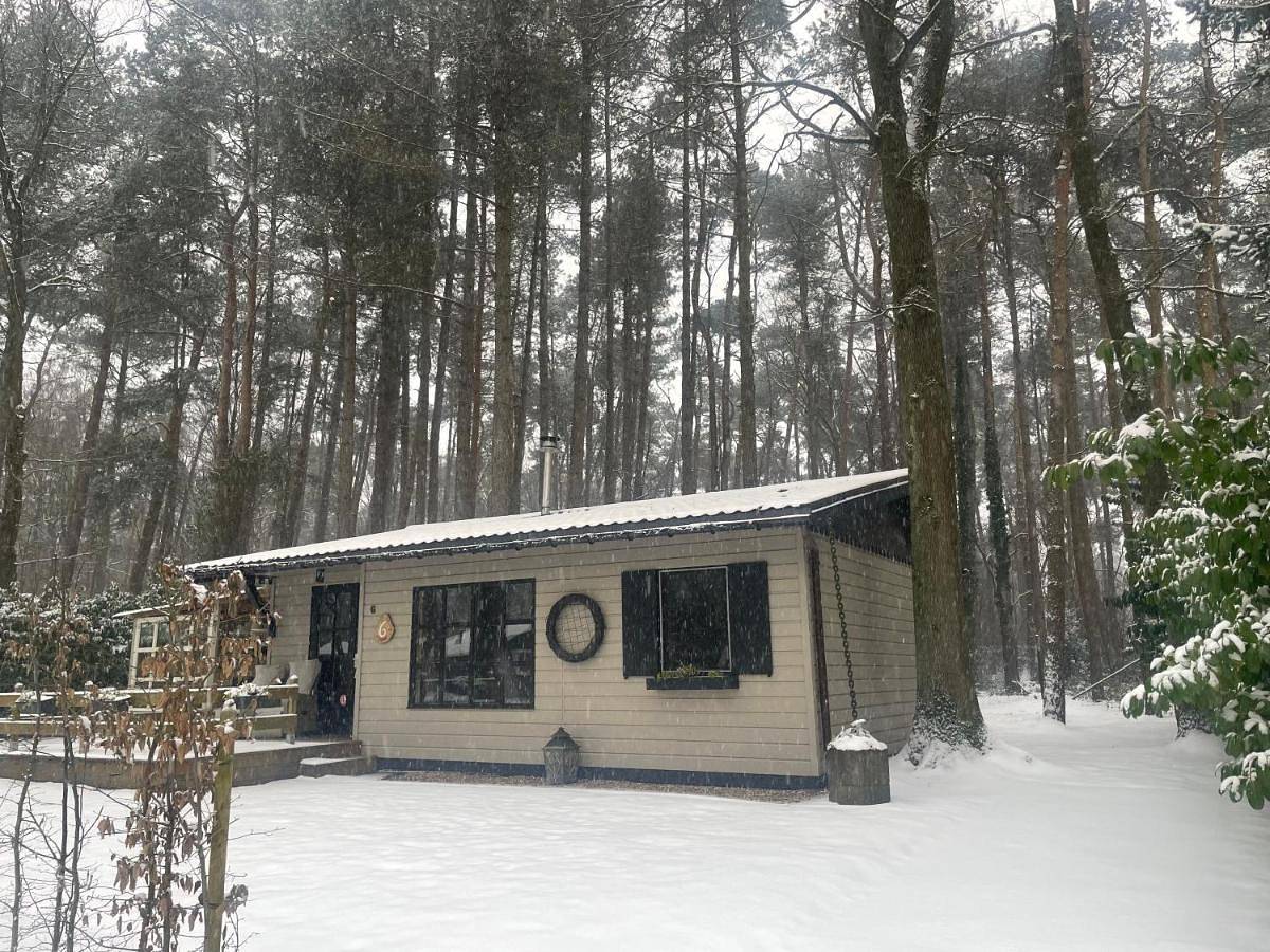 Chalet Sint-Hubertus Deluxe in Zutendaal, Région de Hasselt