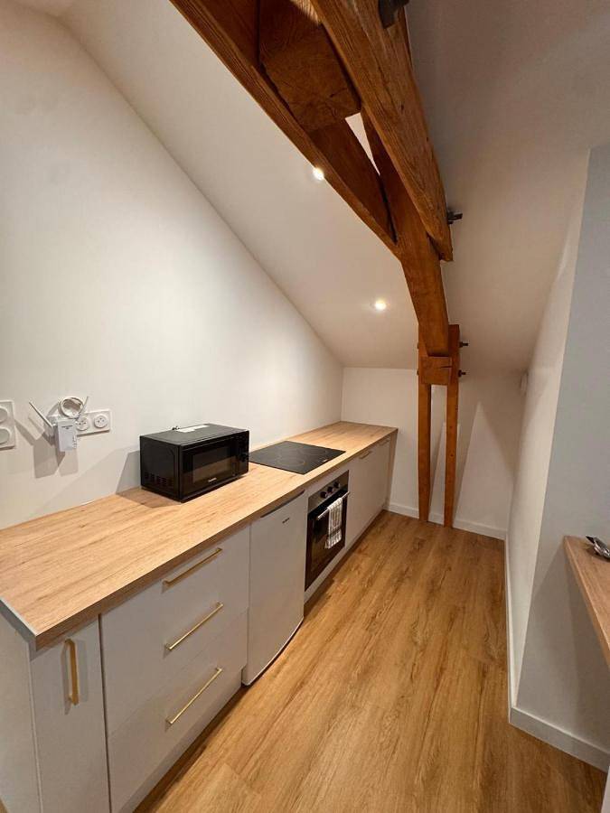 Gîte pour 4 personnes, animaux acceptés à Pélussin - 3