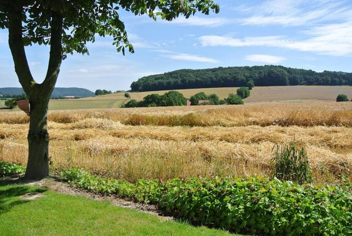 Ferienwohnung für 4 Personen, mit Terrasse und Garten sowie Ausblick in Vlotho - 2