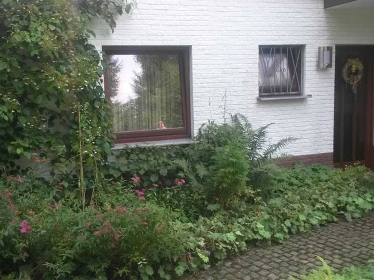 Ganze Ferienwohnung, Ferienwohnungen Perels - Fewo Perels unten in Altenau, Harzvorland