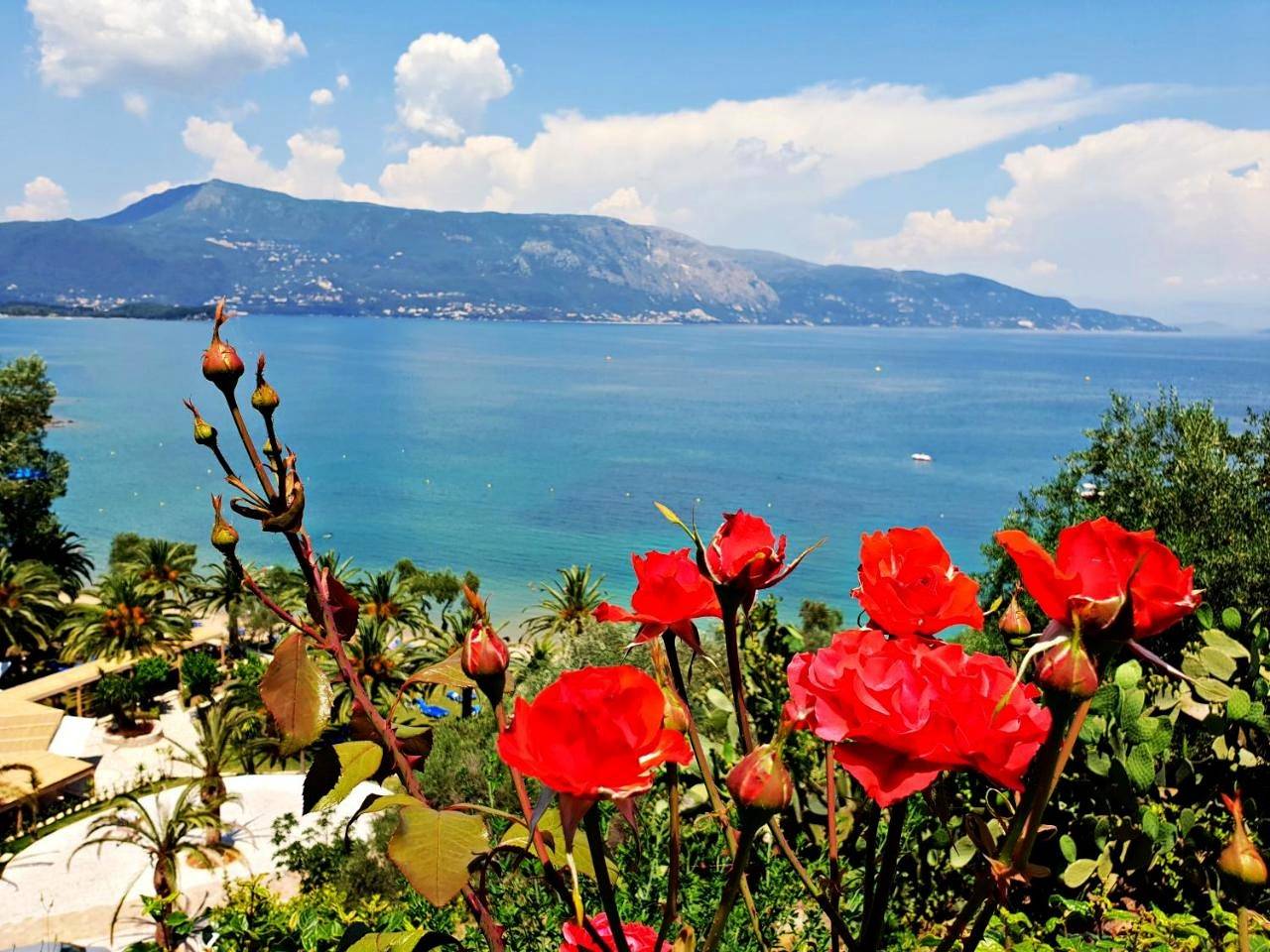 Dimitra Apartments K in Limni (Corfù), Corfù