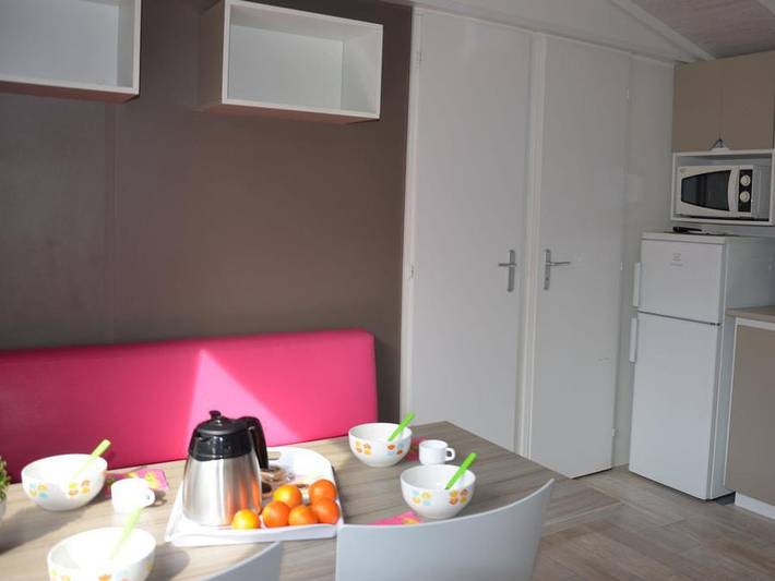 Flower Camping Les Mijeannes - Mobilhome 4 personnes - Mobil-home Confort 25m² 2 chambres + Tv 4 pers in Rieux-de-Pelleport, Ariège