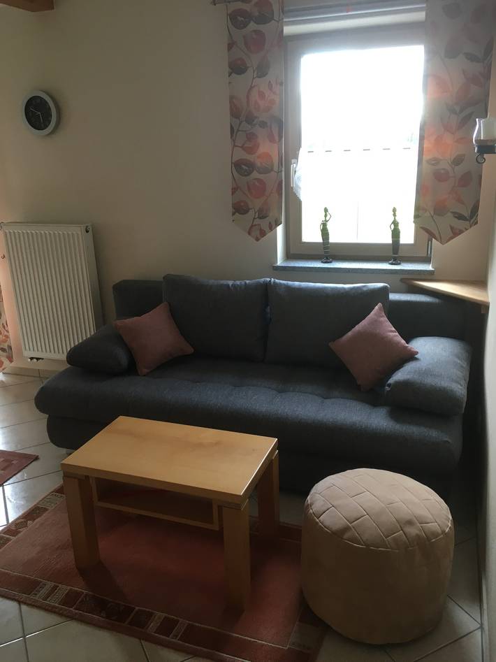 Ferienwohnung für 4 Personen, mit Balkon und Balkon/Terrasse sowie Terrasse und Garten in Zwiesel - 2