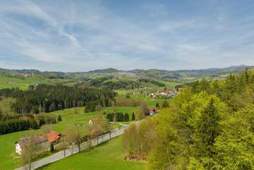 Ferienhaus für 6 Personen in Schönberg (Bayern), Ostbayern, Bild 4