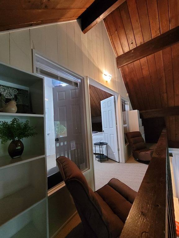 Massanutten Chalet in Massanutten, Blue Ridge Mountains