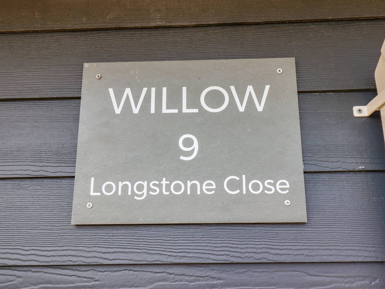 Willow in Beadnell, Northumberland