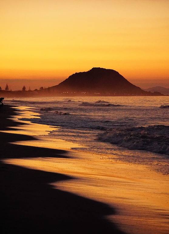 Ganze Wohnung, Gemütlicher Brightside-Bauernhof in Papamoa, in der Nähe der Stadt und des schönen Papamoa-Strandes in Western Bay of Plenty District