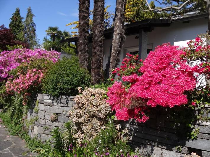 Ferienhaus für 4 Personen, mit Garten und Terrasse, mit Haustier im Ticino - 4