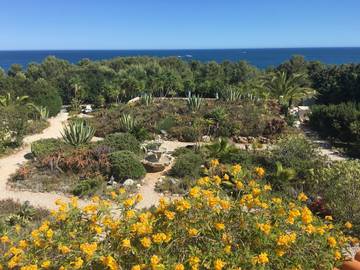 Vakantieappartement voor 2 Personen in Porches, Algarve, Afbeelding 4