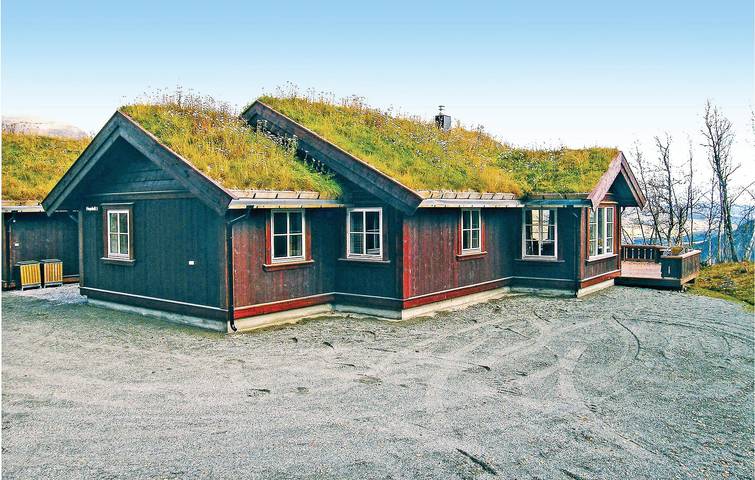 Ferienhaus für 9 Personen in Hemsedal