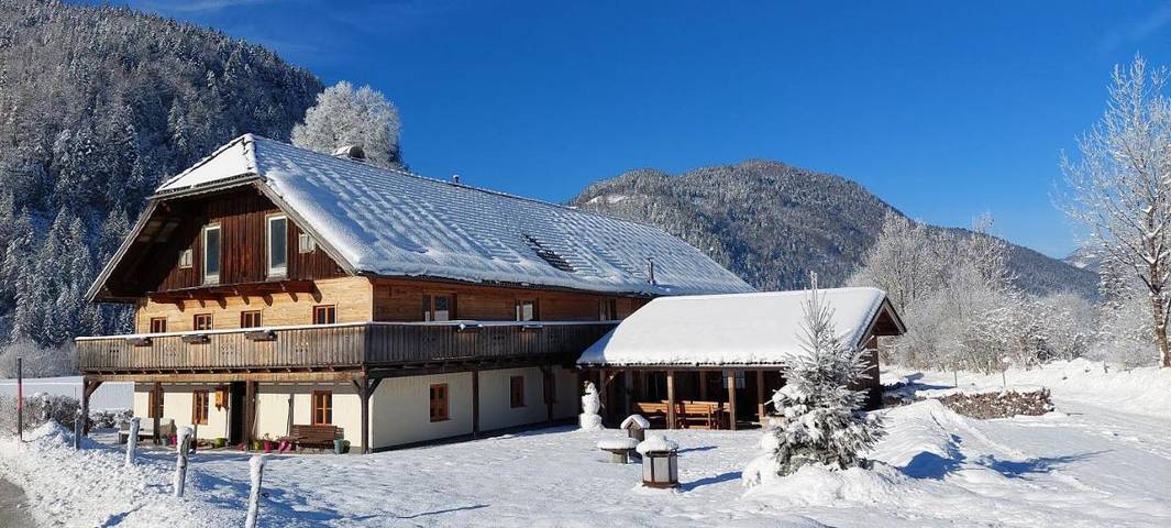 Ferienhaus für 12 Personen, mit Ausblick und Garten, mit Haustier in Abtenau - 3