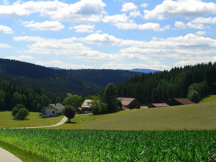 Bauernhof für 6 Personen, mit Balkon und Garten, mit Haustier im Bayerischer Wald - 3