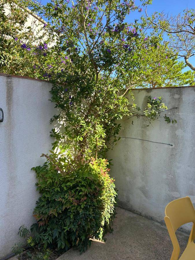Chambre d’hôte pour 2 personnes, avec jardin à Porto-Vecchio - 4