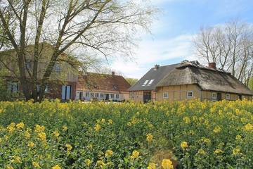 Ferienhaus für 39 Personen, mit Garten und Sauna, mit Haustier in Pommerby