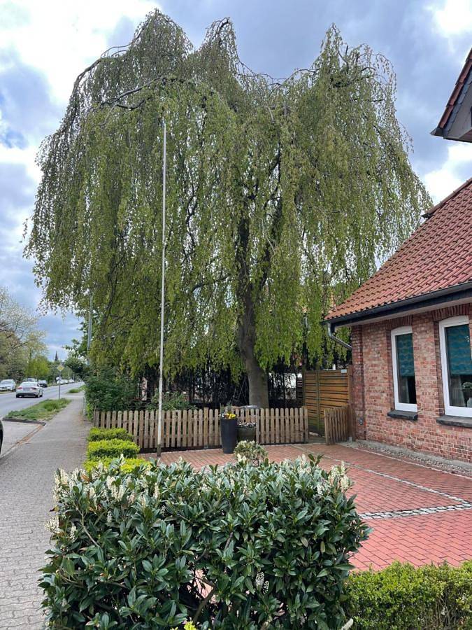 Ferienwohnung für 4 Personen, mit Terrasse und Garten