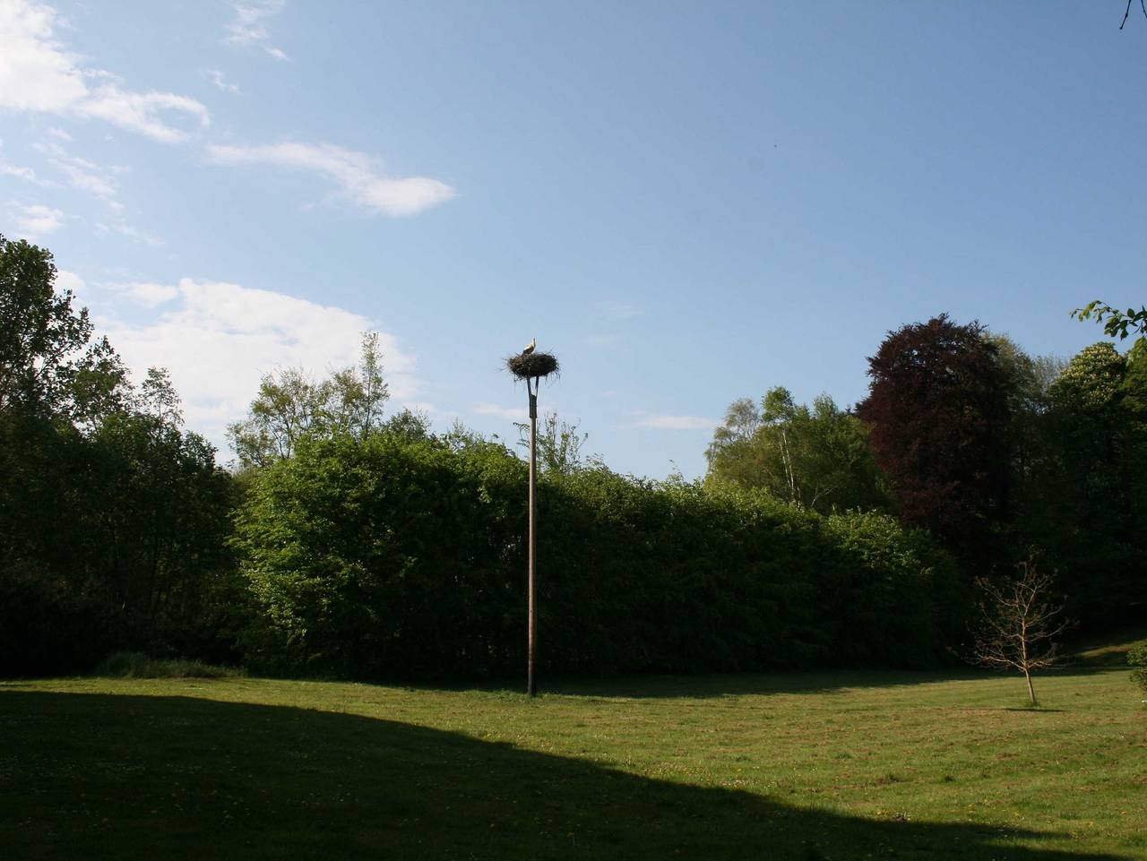 Ganze Ferienwohnung, Gutshaus Redderstorf in Bad Sülze, Recknitz-Trebeltal