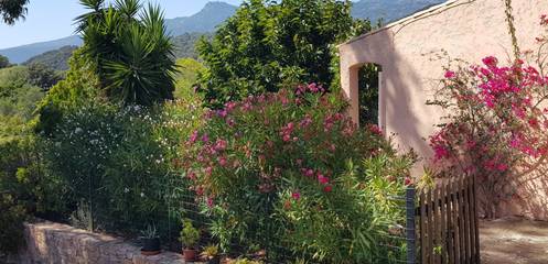 Gîte pour 4 personnes, avec jardin et terrasse à Figari