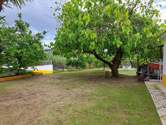 Casa de férias para 6 pessoas, com jardim e piscina em Montargil